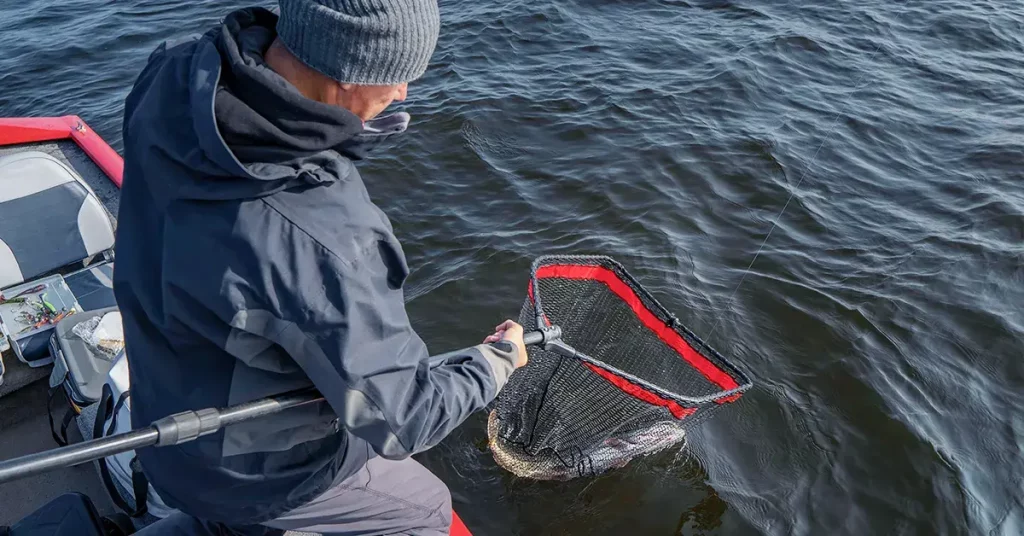 0 featured 2022 08 best fishing landing nets for every situation